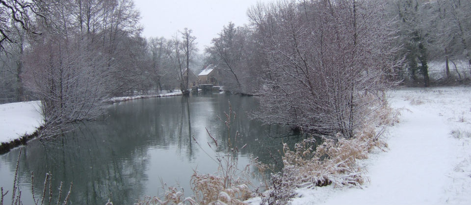 Winter charm...